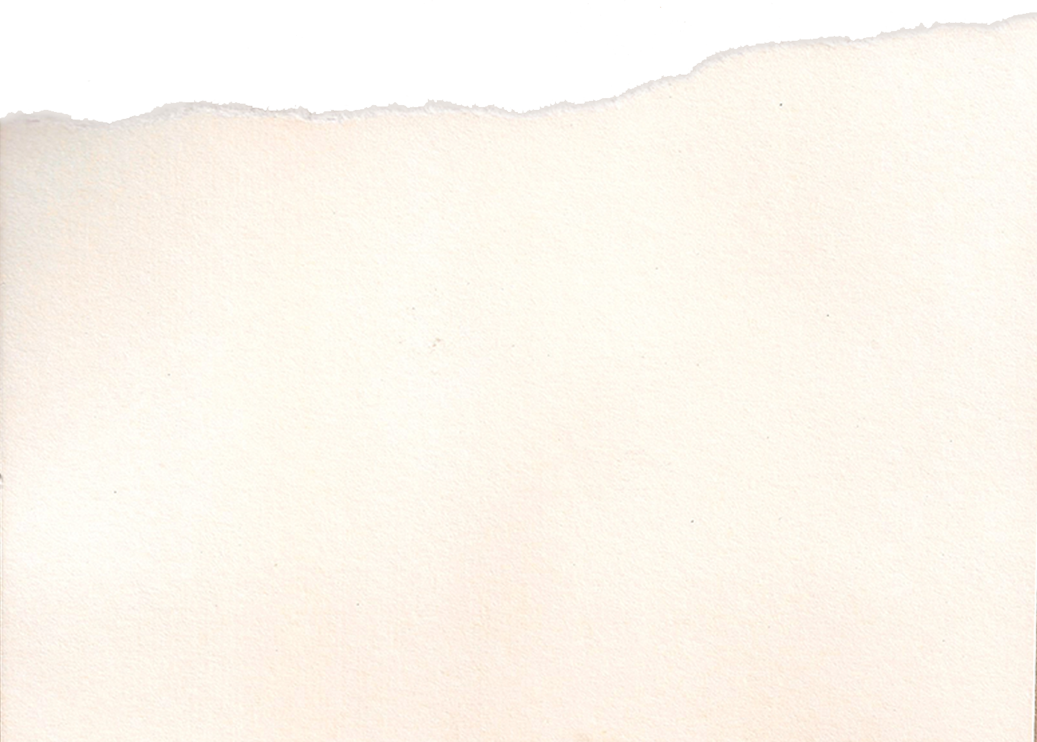 White Card Stock Paper with One Ripped Edge